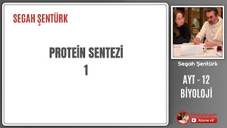 Genden Proteine  Protein Sentezi Part 1  AYT BİYOLOJİ  12SINIF  YKS 2025 [upl. by Nahsab299]