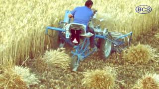 BCS 3 Wheel Reaper Binder Wheat Harvesting Solution [upl. by Neelasor880]