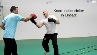 Übungen Koordinationsleiter für Kampfsportler  Martial arts  Sport  Koordination Sport [upl. by Arnuad]