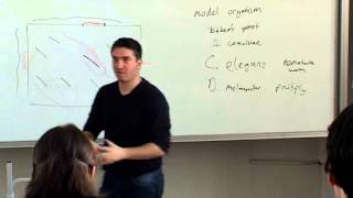 Introduction to Bioinformatics  Week 4  Lecture 2 [upl. by Issak]