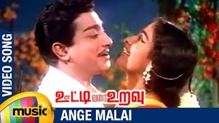 Ooty Varai Uravu Tamil Movie Songs  Ange Malai Video Song  Sivaji Ganesan  KR Vijaya [upl. by Swayder525]