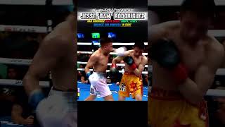 Jesse Rodriguez vs Srisaket Sor Rungvisaiバムvsシーサケットjesserodriguez estrada naoyainoue 井上尚弥 中谷潤人 [upl. by Derfiniw]