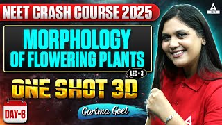 Morphology of Flowering Plants Class 11 One Shot  L3  NEET Crash Course 2025  Garima Goel [upl. by Neetsyrk47]