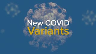 New COVID Variants and a Rise in Cases  What We Know About EG5 Eris and BA286 2023 [upl. by Zacharie]