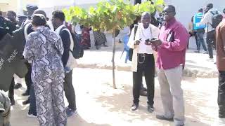 Dakar  École HLM Grand Médina Lieu De Vote du Candidat Amadou Ba [upl. by Ibbison172]