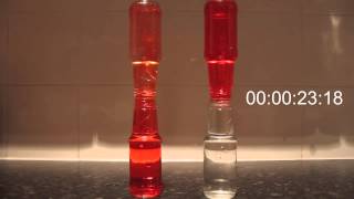 Convection vs diffusion Speed video [upl. by Intisar]