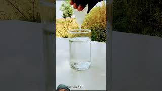 experiment fevikwik science favikwik scienceexperiment scienceexperimentwithwater [upl. by Akeemahs840]