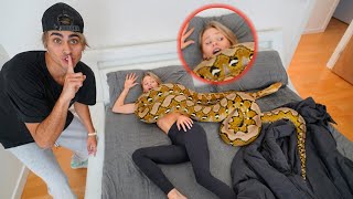 GIANT SNAKE REVENGE PRANK ON GIRLFRIEND [upl. by Eimmas]