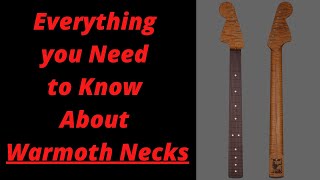 Everything you Need to Know About Warmoth Necks [upl. by Alet797]