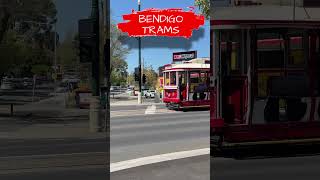 Bendigo 🚃 Trams Bendigo Victoria Australia 🇦🇺 exploreaustralia australiancity australiatrams [upl. by Chanda]