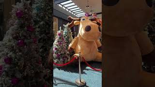 Giant Rein Deer 🦌 shorts short christmas reindeer trending viralvideo enjoy life love fun [upl. by Granville]