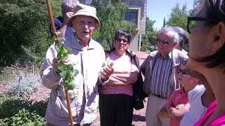 Hysope  Rendez vous aux Jardins  Espace Pierres Folles 14 [upl. by Otirecul]