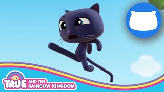 Bartleby Ninja Cat Compilation  True and the Rainbow Kingdom Season 1 and Season 2 [upl. by Lauryn]