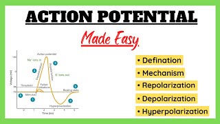 Action Potential Depolarization Repolarization Refractory Period Physiology Made Easy [upl. by Cesare516]