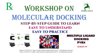 Workshop on Molecular docking  Multiple ligand docking  Series4 [upl. by Fons]