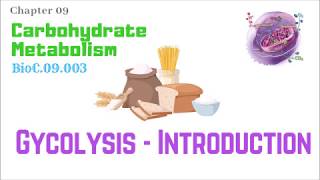 BioC09003Glycolysis 110 – Introduction  Dr Prashant Sharma [upl. by Eam421]