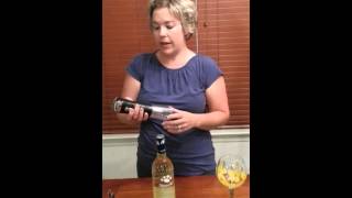 Ozeri Nouveaux Electric Wine Opener Review [upl. by Liam]