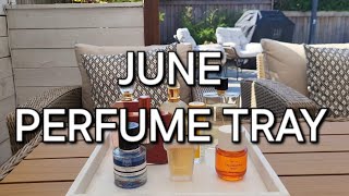 JUNE PERFUME TRAY  MAY TRAY RECAP  RAPID REVIEWS ON POPULAR FRAGRANCES [upl. by Wearing]