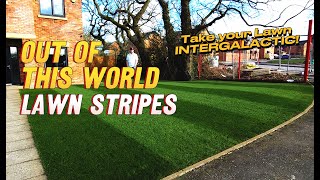 Insane Lawn Stripes Using Simple Products  Applying Weedol before Renovation Season [upl. by Attennaj]