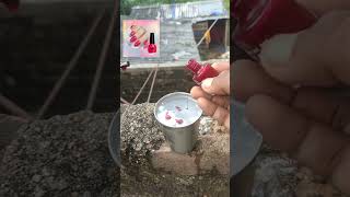 Fevikwik and Milk powder Experiment 🔥😱 experiment shorts ytshorts [upl. by Orme]