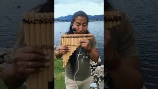 The Sound Of Silence 🤫  El Sonido del Silencio  Instrumental Version Pan Flute  Andean Music [upl. by Alohs]