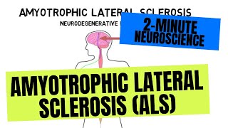 2Minute Neuroscience Amyotrophic Lateral Sclerosis ALS [upl. by Yesak954]