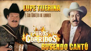 Lupe Tijerina Y Rosendo Cantú  LOS CADETES DE LINARES  🤠 Mix de Puros Corridos Viejitos Norteños [upl. by Filberto]