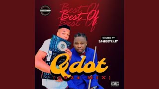 Best Of Qdot 2024 feat DJ Gbodykhay Mixed [upl. by Leryt946]