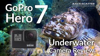 GoPro Hero 7 Underwater Camera Review [upl. by Swann767]