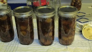 How to Preserve Figs [upl. by Line598]