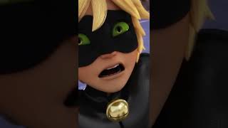 Cancelled episode in Miraculous Ladybug and Cat Noir [upl. by Garfinkel149]