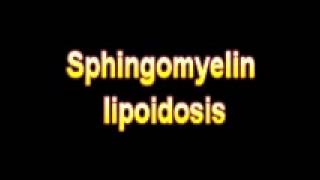 What Is The Definition Of Sphingomyelin lipoidosis Medical School Terminology Dictionary [upl. by Atterehs]