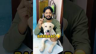 Pogo Makeup Kit Kha Gya😂😂 shorts vlog minivlog puppy labrador [upl. by Hetty]