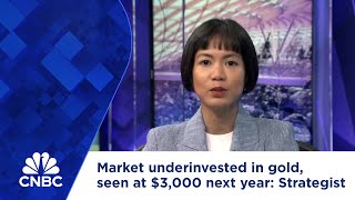 Market still underinvested in gold price seen at 3000 by next year Strategist [upl. by Emoryt]