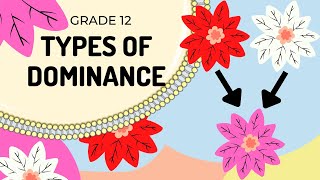 EASY TO UNDERSTAND Types of Dominance GENETICS [upl. by Vladimir281]