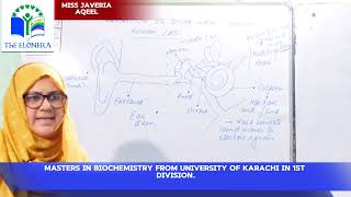 Subject Science Topic Human Ear Neche miss ka nam wth degrees [upl. by Nadaba]