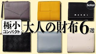 【コンパクト】最強ブランドの小さい財布を厳選！ 【ボッテガ・ヴェネタ】【ロエベ】【ジル サンダー】【メゾンマルジェラ】【マルニ】 [upl. by Ozneral458]