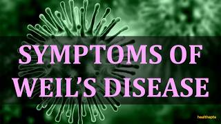 SYMPTOMS OF WEIL’S DISEASE [upl. by Ivers664]