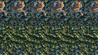 Animal Attraction 🐱  3D Stereogram Illusions [upl. by Sirahc]