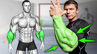 5 Best Exercises for Bigger Forearms Workout [upl. by Gus]