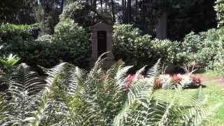 hamburg friedhof ohlsdorf emily ruete prinzessin von oman und sansibar remix [upl. by Kathlin]