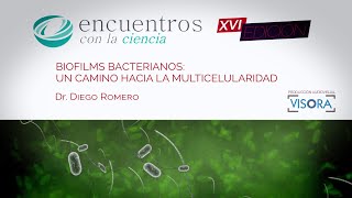 Biofilms bacterianos un camino hacia la multicelularidad [upl. by Lehar]