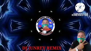 a dream ghost mix 2024 dj junrey remix [upl. by Osugi]