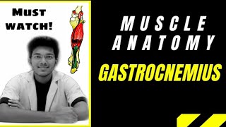 Gastrocnemius Muscle Anatomy  Lower Limb  Medseed MBBS [upl. by Chisholm]