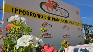 quotIPPODROMO DI CHILIVANI CORSE E VINCITORIquot Del 14 Settembre 2024 [upl. by Dolora]