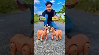 RC Remote Control Two Horse 🐎 Unboxing and Testing [upl. by Aneral12]