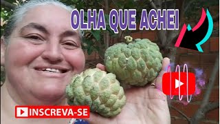 MAIS UM VLOG DO MEU DIA [upl. by Atires]