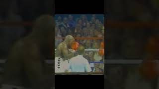 Earnie Shavers 🥊 Knocks Down Larry Holmes 🔥 Boxing Shorts [upl. by Ykcim]