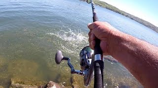 How To Catch HUGE Catfish From The Bank [upl. by Danzig]