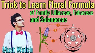 Trick to Write Floral Formulas of Family Fabaceae Solanaceae amp Liliaceae  Morphology via NCERT [upl. by Orestes473]